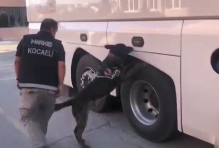Kocaeli'de yolcu otobüsünden 30 kilo 800 gram eroin çıktı