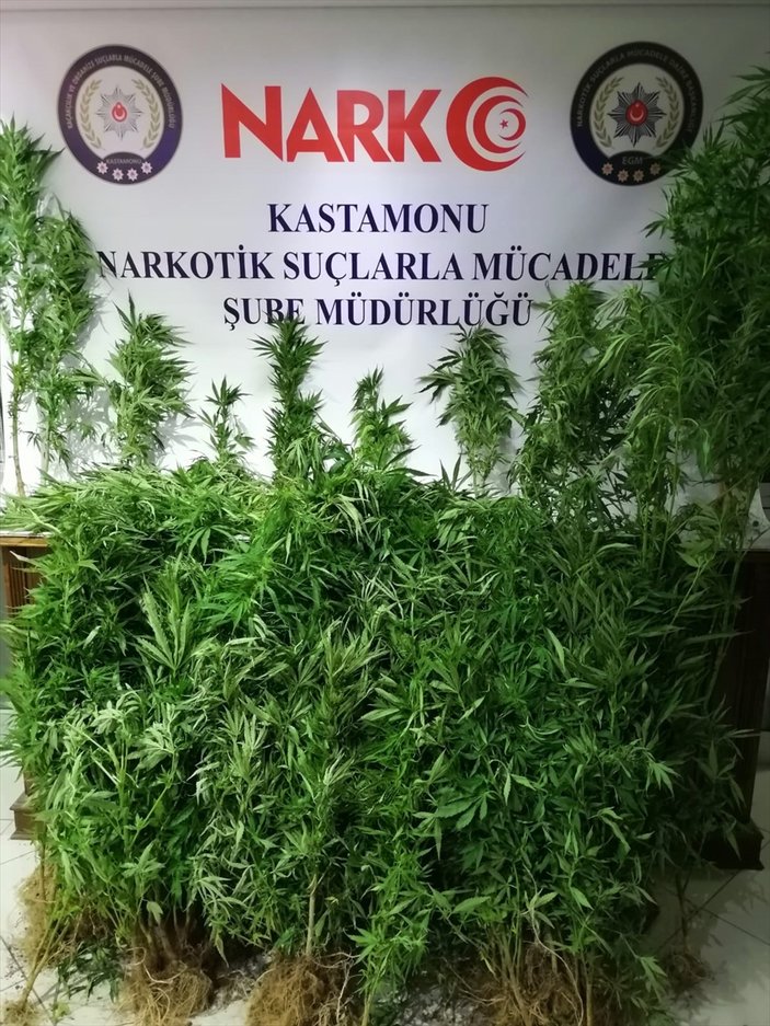 Kastamonu'da uyuşturucu operasyonu: 2 kişi tutuklandı