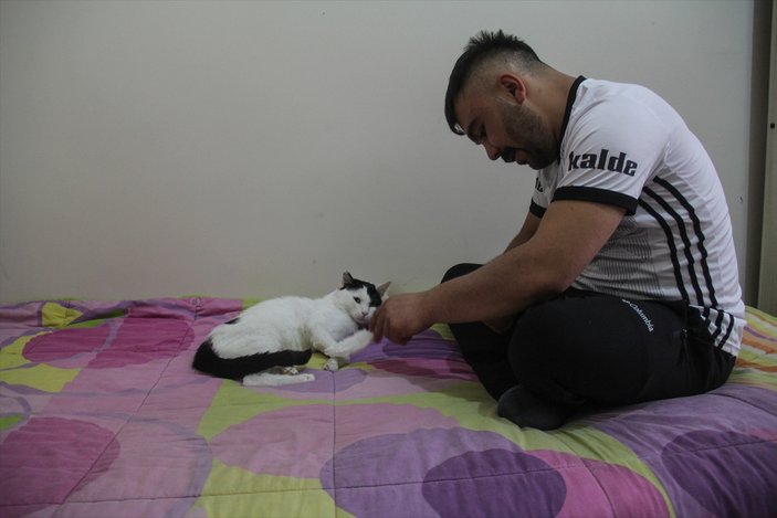 Kars'ta sağlık personeli, bulduğu yaralı kediye sahip çıktı
