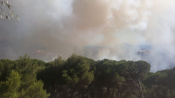 Maltepe'de orman yangını