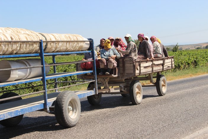 Manisa'da tarım işçilerinin tehlikeli yolculuğu devam ediyor