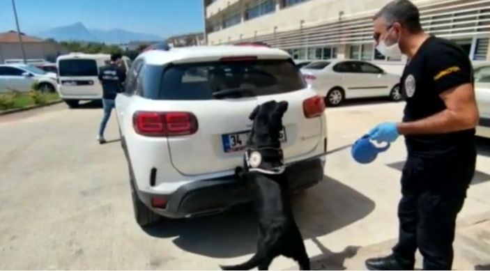 i Erzurum'dan Antalya'ya giden uyuşturucuyu narkotik köpeği buldu
