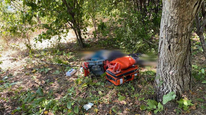 Karabük'te ceviz ağacından düşen kadın yaşamını yitirdi
