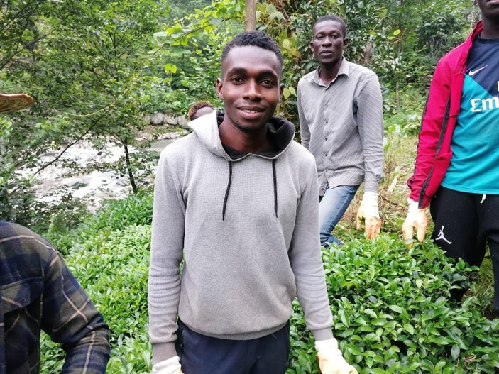 Senegal ve Gambialı çay işçileri, Rizeli üreticileri memnun etti