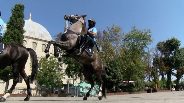 İBB'nin atlı zabıta birimi Ayasofya Meydanı'nda