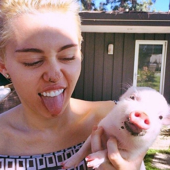 Miley Cyrus: Beynim çalışmıyor