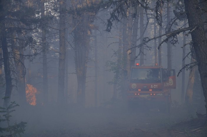 Çorum, Sinop ve Kastamonu arasındaki ormanlık alanlarda yangınlar