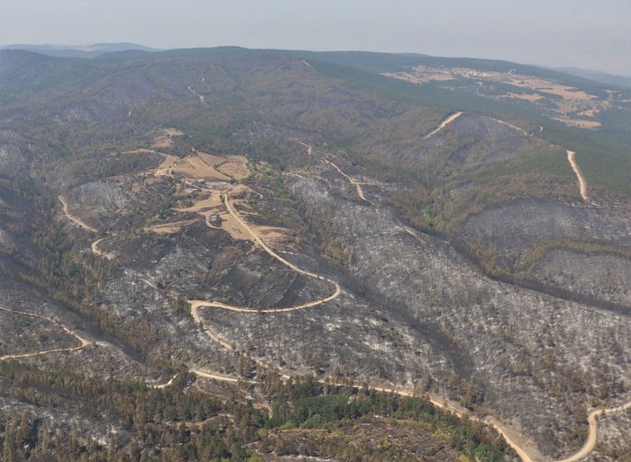 Çorum, Sinop ve Kastamonu arasındaki ormanlık alanlarda yangınlar