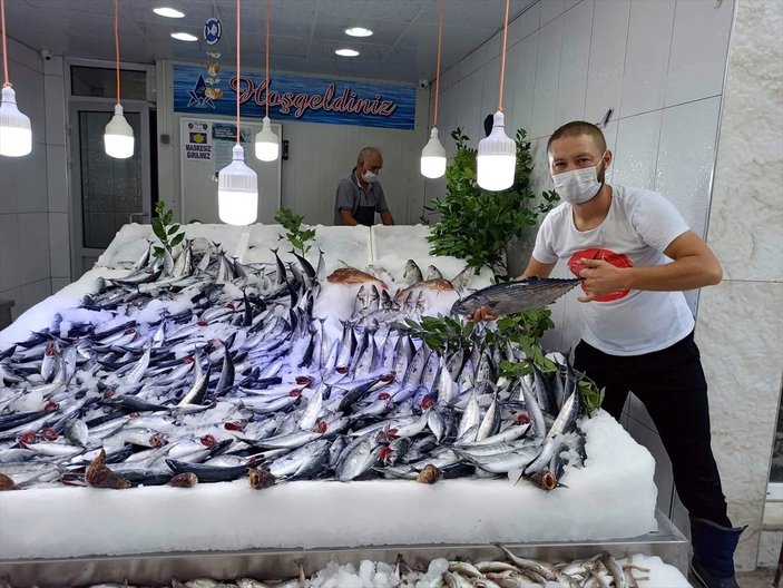 Sinop'ta palamut, balıkçıların yüzünü güldürdü