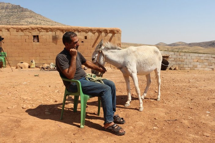 Mardin'de taksitle aldığı eşeğin borcunu ödeyemeyen çoban yardım istiyor