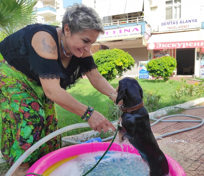 Antalya'da sıcaktan bunalan 'Şila'yı şişme havuzda hortumla yıkadı