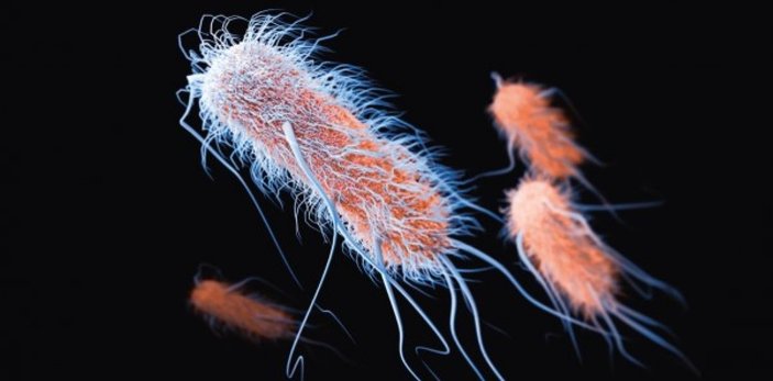 Uzayda 3 yıl yaşabilen süper bakteriler bulundu