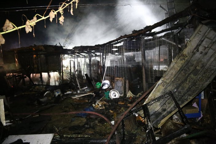 Gebze’deki çiftlikte kümesler yandı: 250’den fazla kanatlı hayvan telef oldu