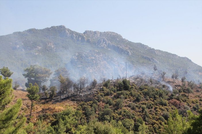 Antalya'daki orman yangınında 5 hektar alan zarar gördü
