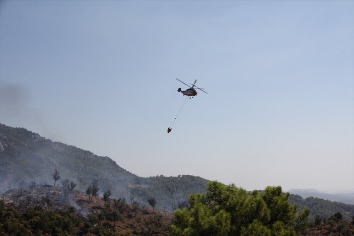 Antalya'daki orman yangınında 5 hektar alan zarar gördü