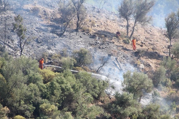 Antalya'daki orman yangınında 5 hektar alan zarar gördü