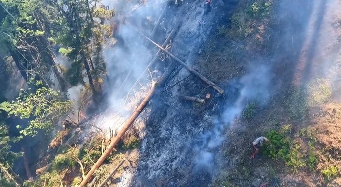 Artvin'deki orman yangınında soğutma çalışması başlatıldı