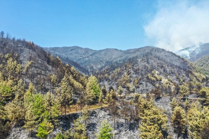 Hatay'da 5 gündür süren orman yangını kontrol altına alındı