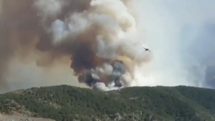 Hatay'da 5 gündür süren orman yangını kontrol altına alındı