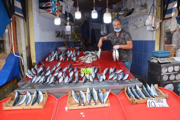 Karadeniz'de palamut bolluğu, balıkçıların yüzünü güldürdü