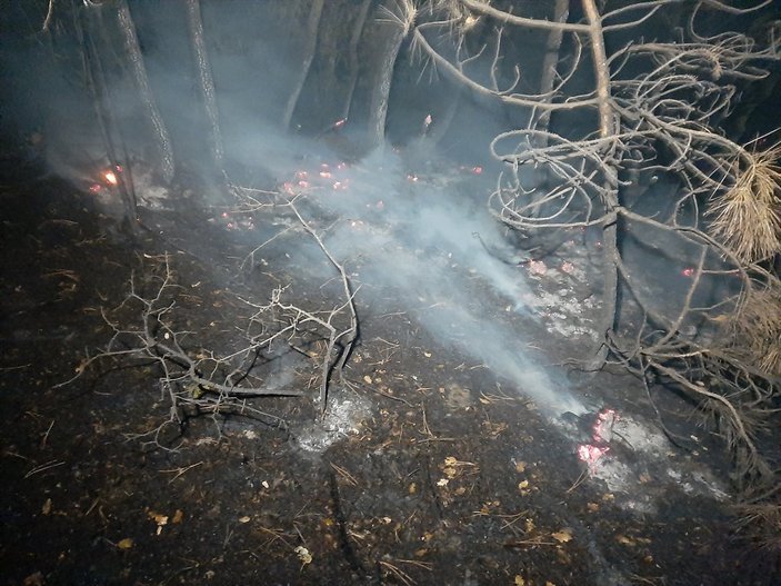 Karabük'te ormanlık alanda çıkan yangın söndürüldü