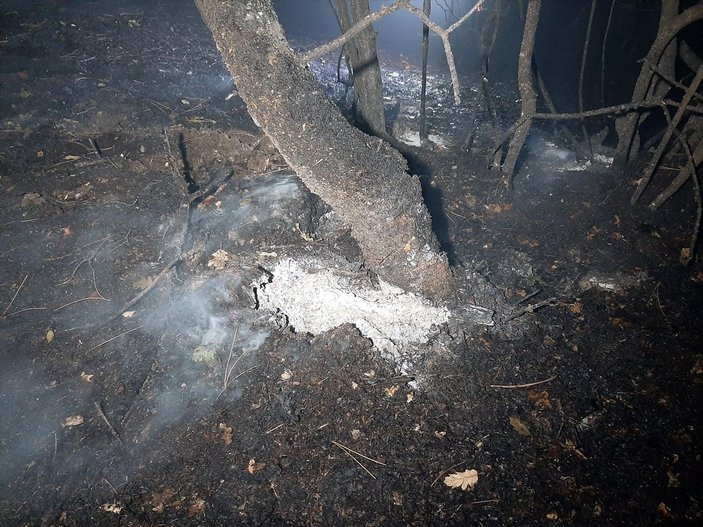Karabük'te ormanlık alanda çıkan yangın söndürüldü