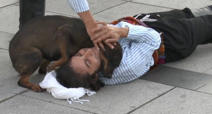Yaralı rolündeki tiyatrocuya sarılan köpeği belediye sahiplendi