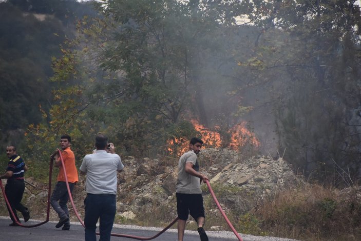 Sinop'ta otları temizlemek isterken ormanı yaktı