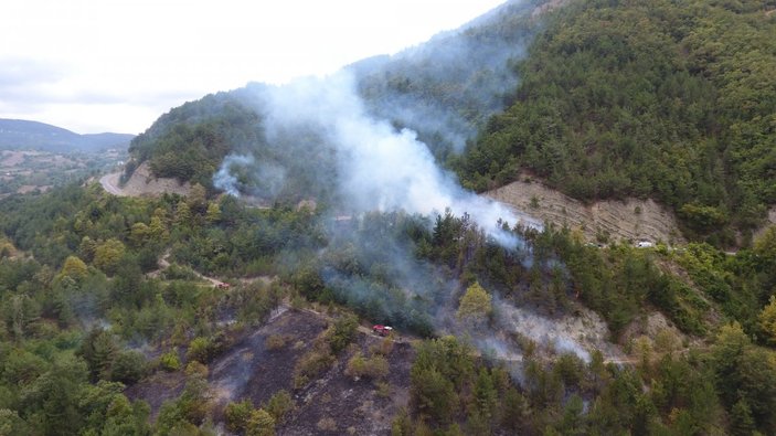 Sinop'ta otları temizlemek isterken ormanı yaktı