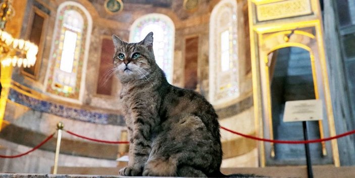 Ayasofya Gli