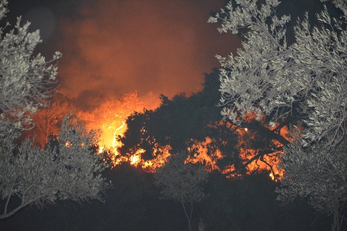 Ayvalık'ta orman yangını