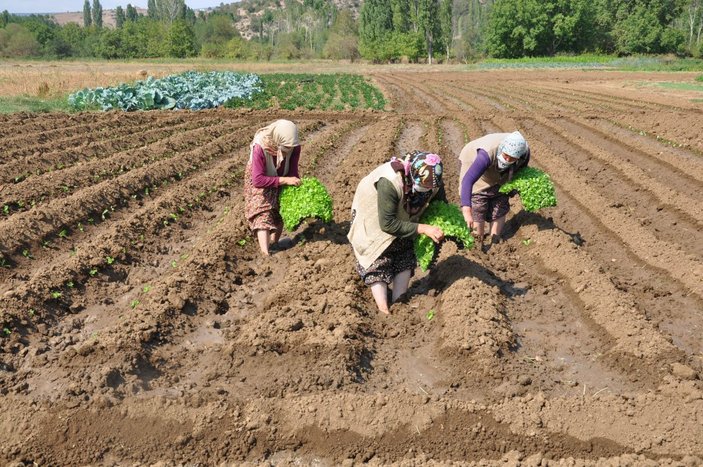 Kütahya'da köylüler, tarım arazilerinin 'sanayileştirilmesini' istemiyor