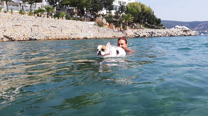 Muğla'da köpeğin sörf keyfi görenleri şaşırttı