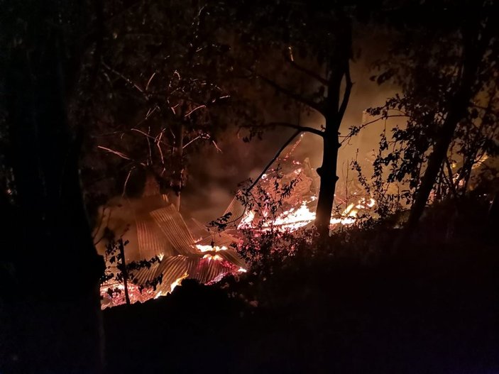 Artvin'in Çıralı köyünde yangın