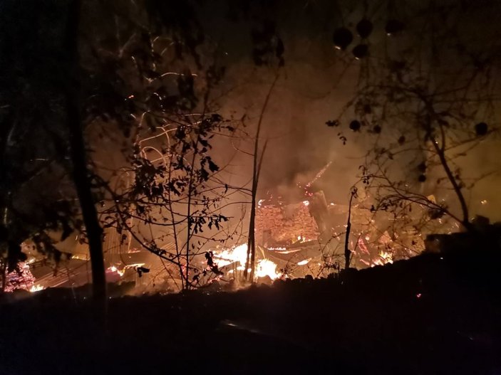 Artvin'in Çıralı köyünde yangın
