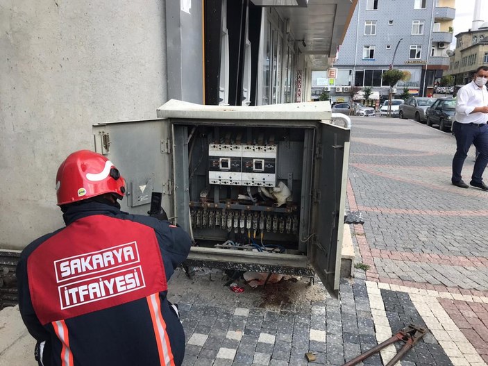 Sakarya’da trafoya giren kedi elektrik kesintisine neden oldu