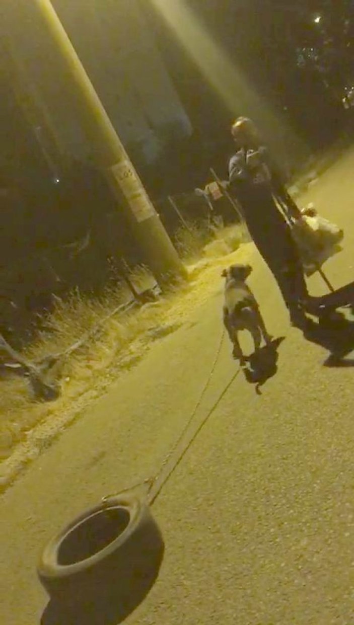 Mardin'de bir kişi köpeği zincirle lastiğe bağladı