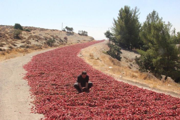Gaziantep'te toz biber fiyatları düştü
