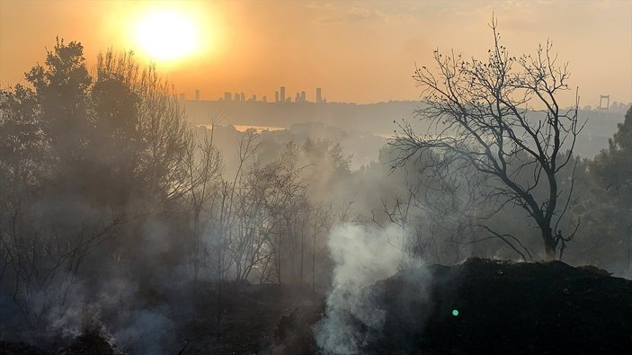 Anadolu Hisarı’nda orman yangını
