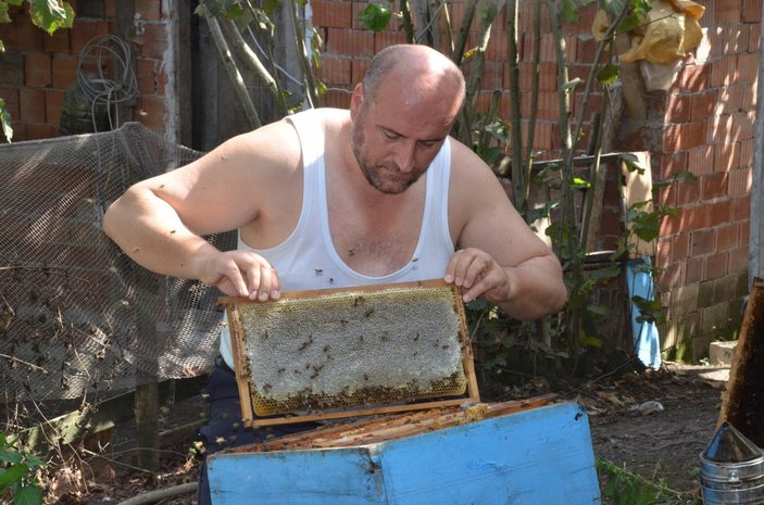 Ordulu arıcı, arılarının bakımını gömleğini çıkararak yaptı