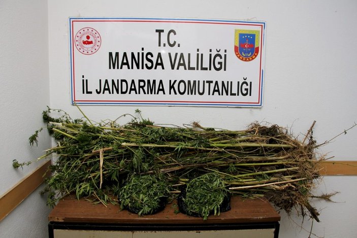 Manisa’da uyuşturucu tacirlerini fotokapan yakaladı