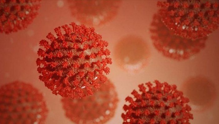 Koronavirüsün diken proteini, en az 10 farklı şekle bürünüyor