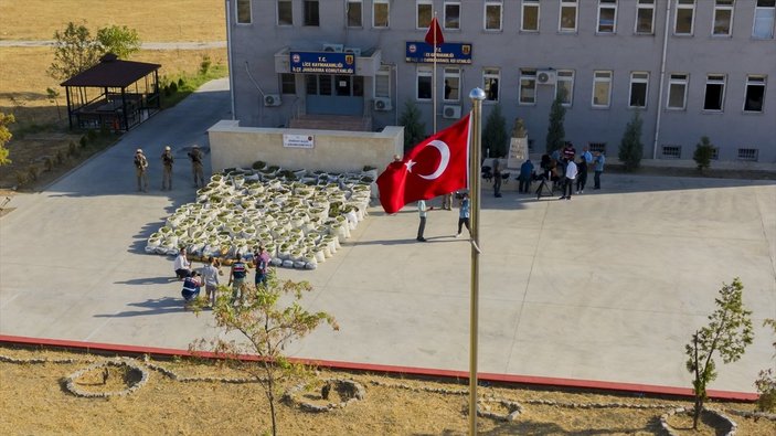 Diyarbakır'da 236 bin 500 kök kenevir ele geçirildi