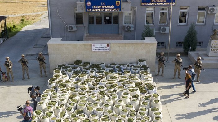 Diyarbakır'da 236 bin 500 kök kenevir ele geçirildi