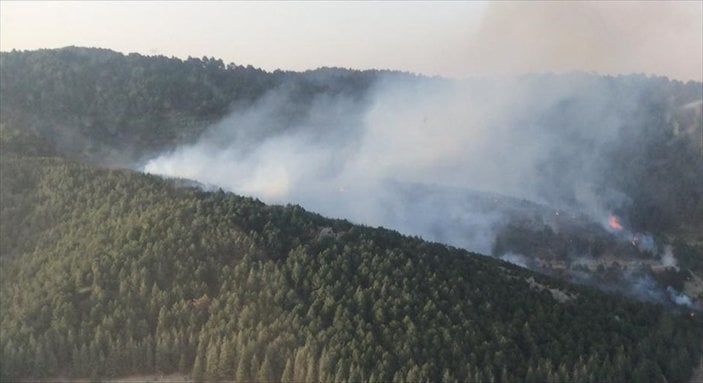 İzmir orman yangını