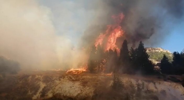 İzmir Aliağa'da orman yangını