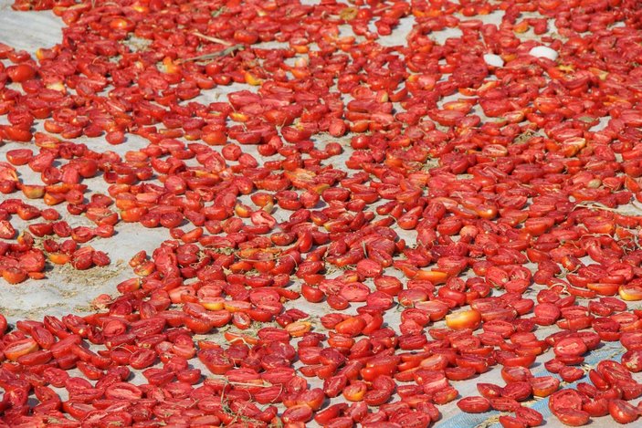 Diyarbakır'ın kurutulmuş domatesleri İtalya'ya ihraç ediliyor