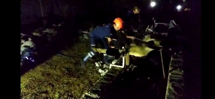 Hatay'da bir inek kanala düştü