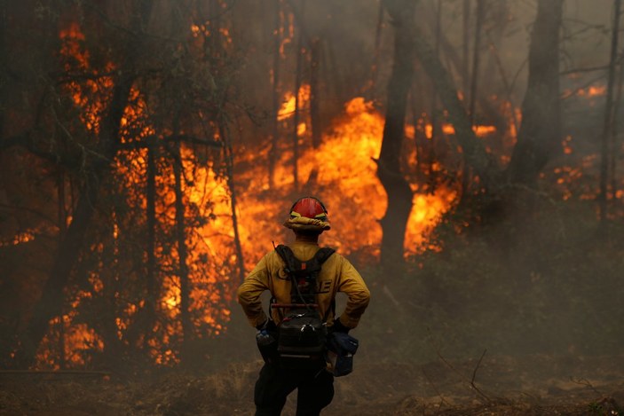 Kaliforniya'daki orman yangınları rekor kırdı