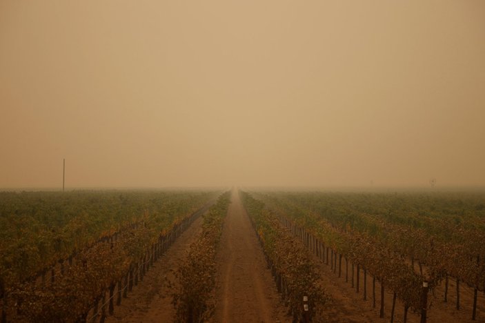 Kaliforniya'daki orman yangınları rekor kırdı